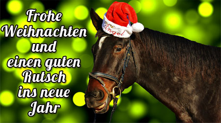 Pferd mit Nikolausmütze wünsche frohe Weihnachten