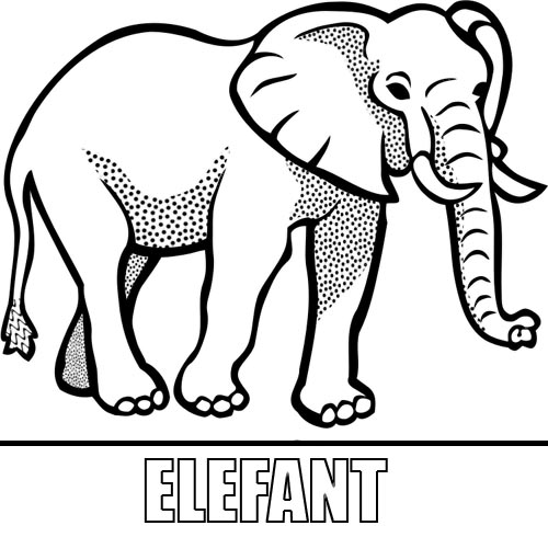 malvorlage elefant zum ausdrucken