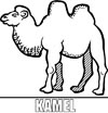 Malvorlage Kamel