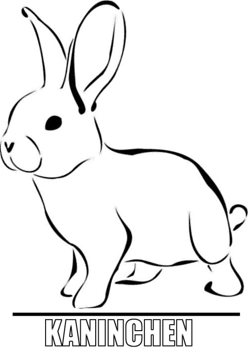 Malvorlage Kaninchen
